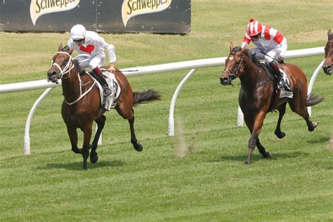 rosehill results saturday.